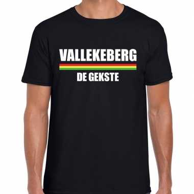 Carnaval vallekeberg gekste t shirt zwart heren2020