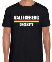 Carnaval vallekeberg gekste t-shirt zwart heren